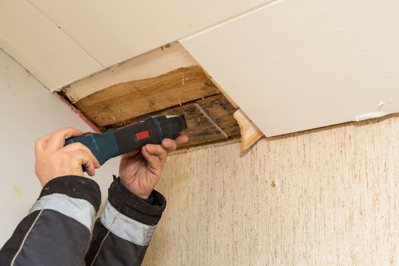 Mould removal treatment being carried out at a Newcastle property