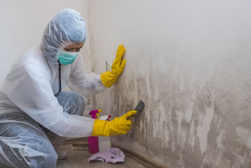 Specialist wearing protective gear while cleaning mould from a wall