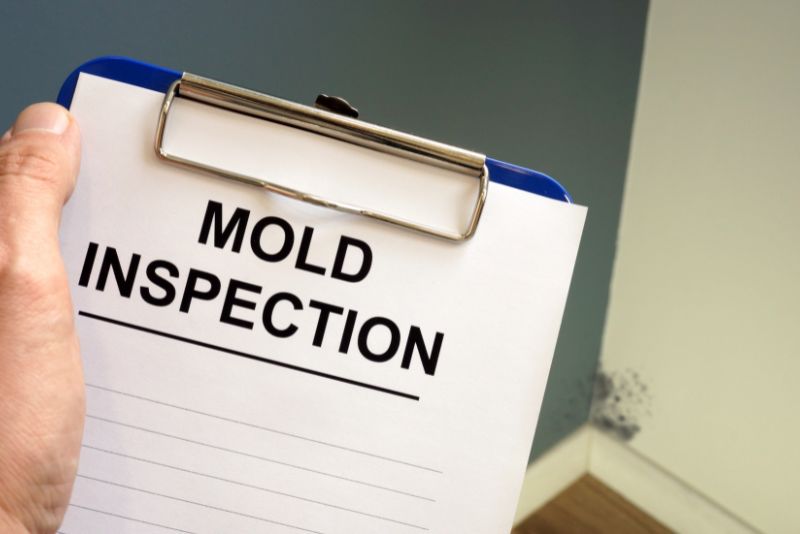 Mould inspection being carried out in a residential property