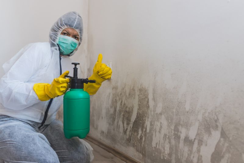 Mould remediation specialist treating an affected surface