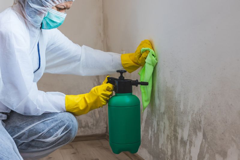 specialist remediating mould from the wall