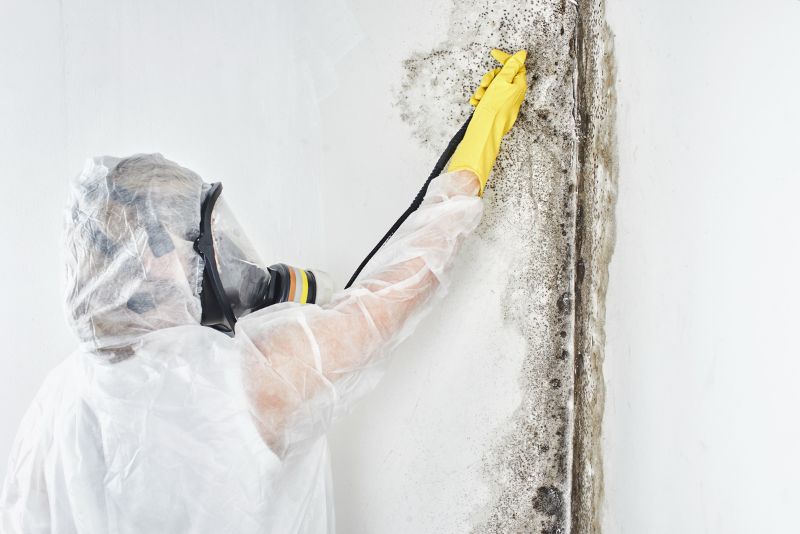 A specialist wearing protective gear while removing mould