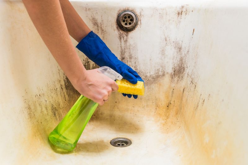 Technician identifying and treating a mould-affected area