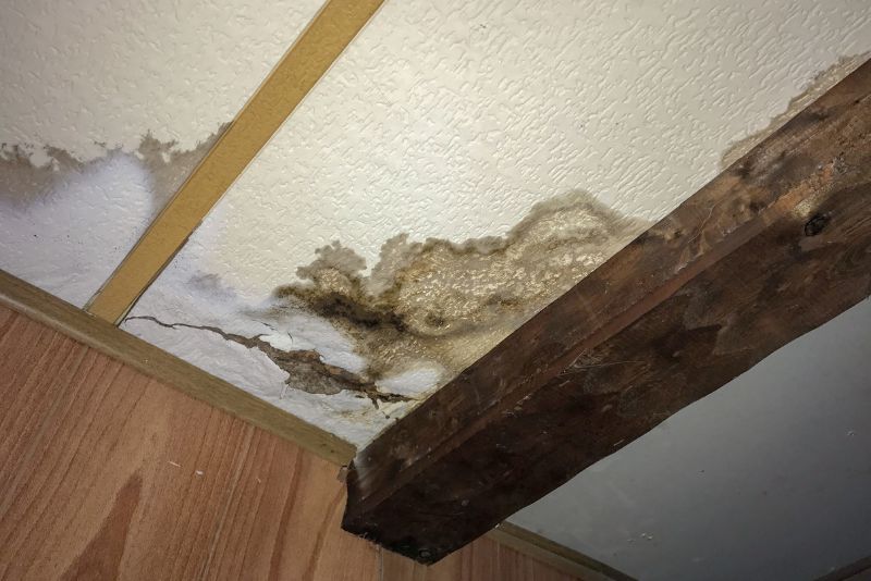 Mould growth on an affected surface before treatment
