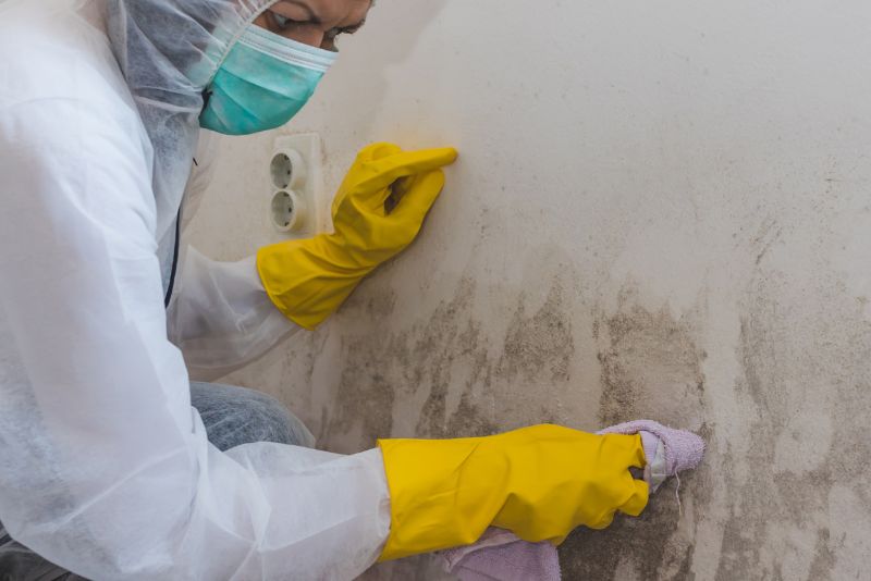 Mould removal treatment in progress at a property