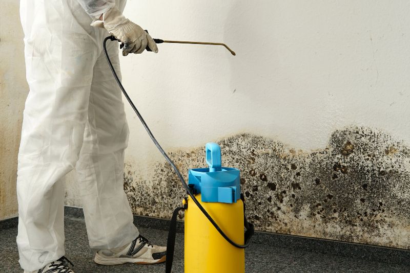 Mould growth visible on an affected surface