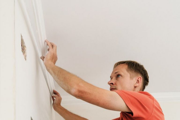 Mould removal treatment being carried out at a Newcastle property