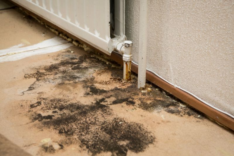 Mould testing sample being collected by a Newcastle Experts technician